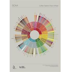 SCAA Flavor Wheel